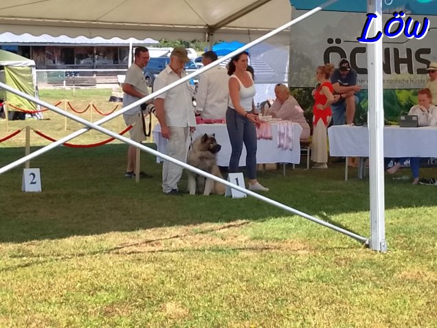 Dwix beim FCI V Festival - Krenglbach, 25.07.2026